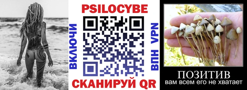 Псилоцибиновые грибы Psilocybine cubensis  omg вход  Елец 